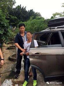 德庆县爆料新闻最新 第1张 德庆县爆料新闻最新 第1张